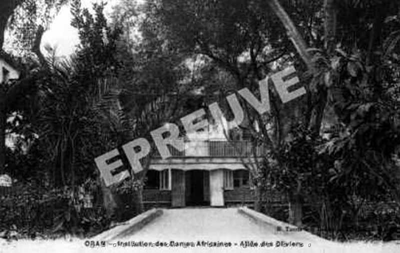 SP g- 08- St Pierre- Dames africaines- rue Beranger.jpg